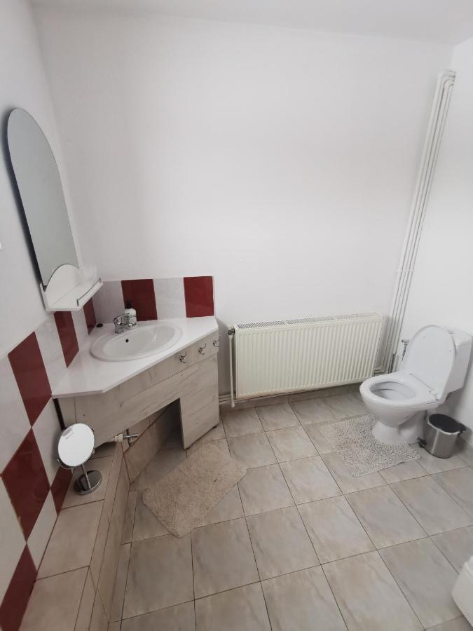 Casa De Oaspeti Wallendorf Bistrita Unirea Extérieur photo