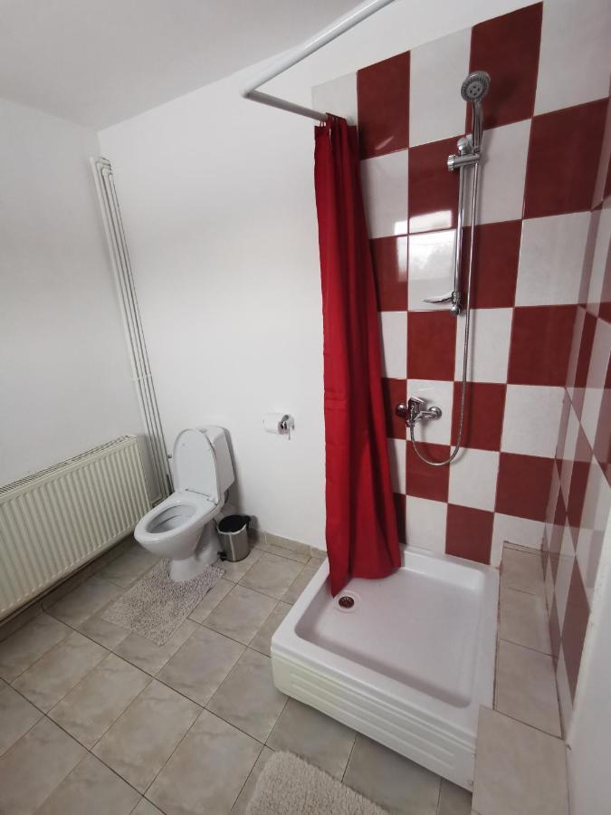 Casa De Oaspeti Wallendorf Bistrita Unirea Extérieur photo