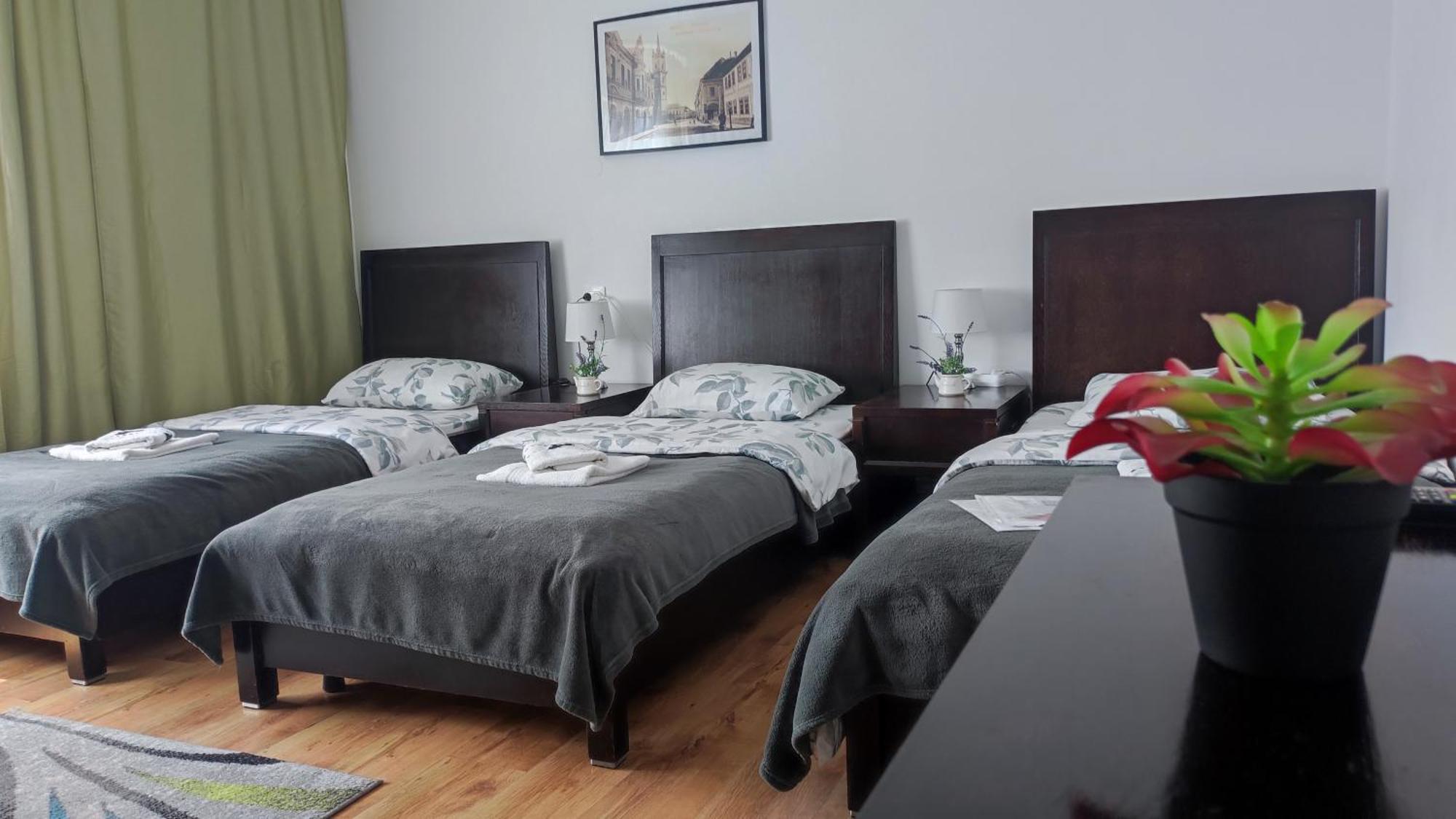 Casa De Oaspeti Wallendorf Bistrita Unirea Chambre photo